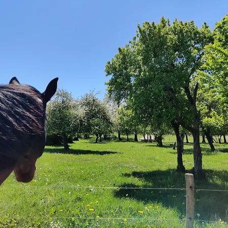 Under Canvas Bornholm * Ostermarie