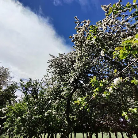 Hotel Under Canvas Bornholm