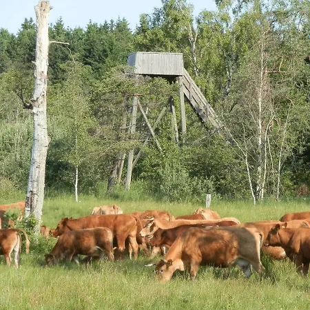 Hotel Under Canvas Bornholm *