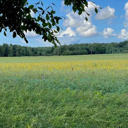 Hotel Under Canvas Bornholm
