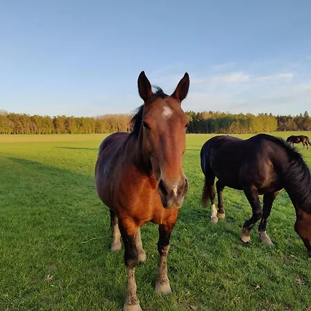 Under Canvas Bornholm * Ostermarie