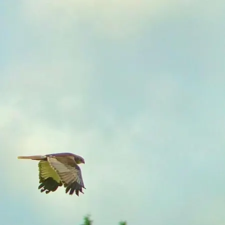 Under Canvas Bornholm Hotel