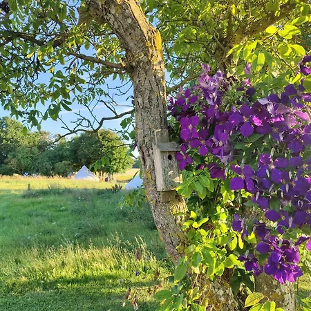 Under Canvas Bornholm *